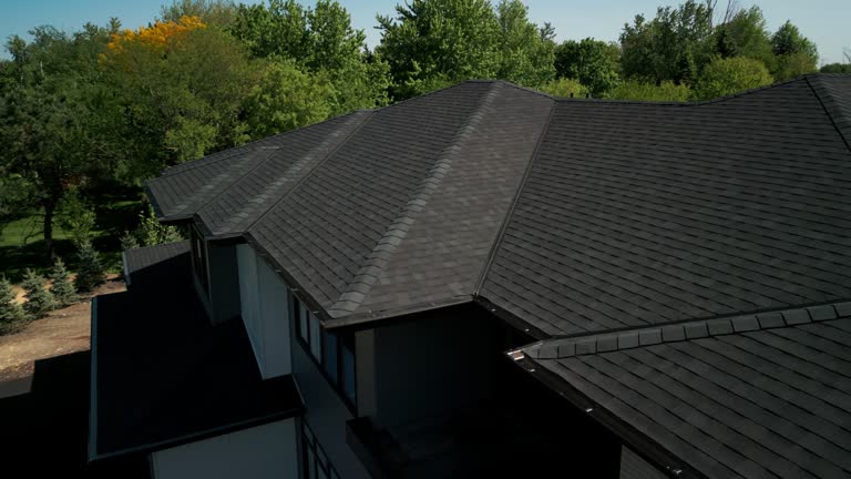 Best Roof Moss and Algae Removal  in Robersonville, NC