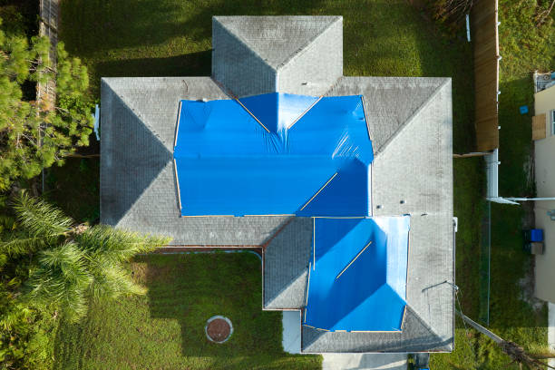 Best Roof Maintenance and Cleaning  in Robersonville, NC